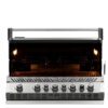 Napoleon Prestige BIPRO 665 RVS inbouw (incl. draaispit)