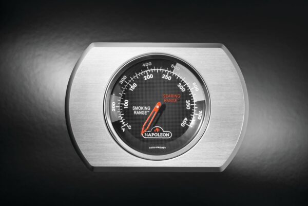 Napoleon Rogue RB 425 RSB zwart (incl. draaispit)