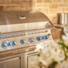 Napoleon 700-Series 44-inch stainless steel built-in (includes rotisserie spit)