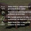 Buikspek zonder zwoerd | Heyde Hoeve | Nederland