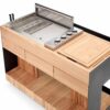 Indu+ Bilba trolley met Gasgrill - zwart