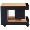 Indu+ Iceboy trolley - zwart